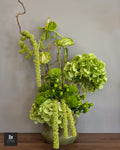 Composition Jardin Vert
